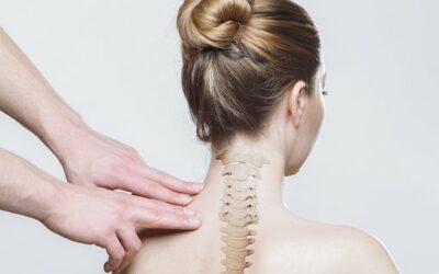 What Is A Spinal Disc?