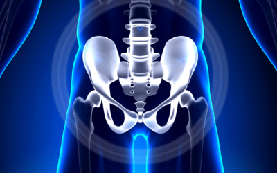Pelvic Stability & It’s Intrinsic Role in Keeping You Moving